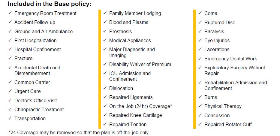 accident indemnity plus base coverage