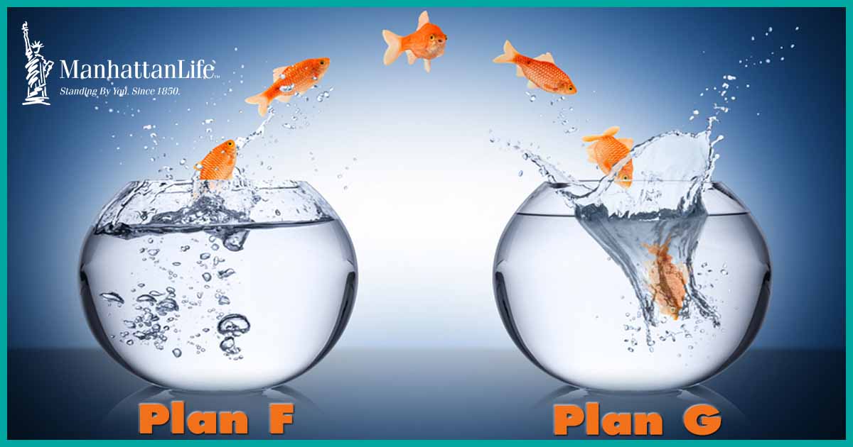 goldfish jumping from one bowl to another, plan f to plan g